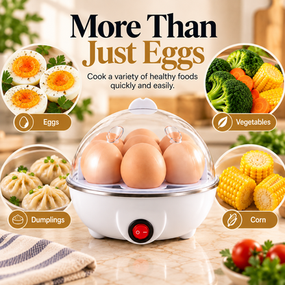 Electric Eggs Boiler